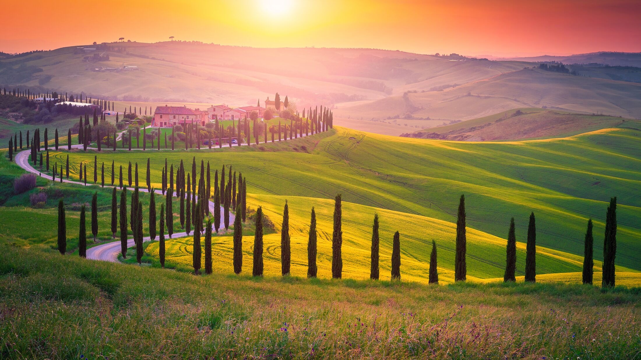 Cypress-lined lane through rolling Tuscan farmland at sunset