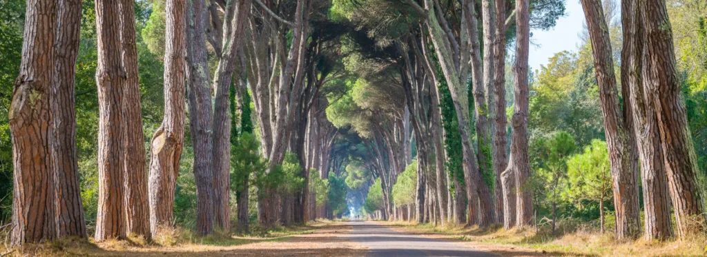 Explore Migliarino San Rossore: Tuscany’s Nature Paradise