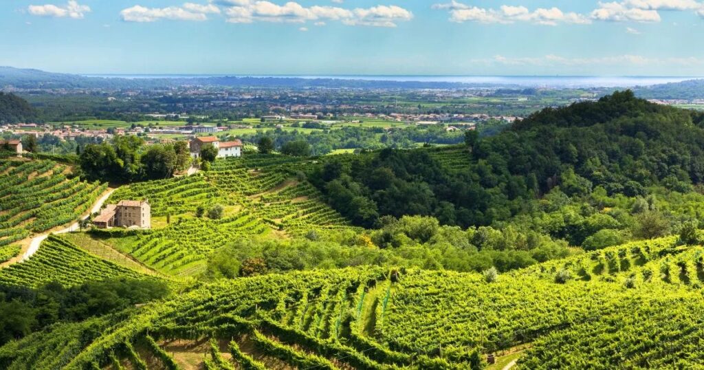 Prosecco Hills - Veneto - Italy 1 | Visit Italy Guide| Where to go | What to Do Prosecco Hills - Veneto - Italy 1