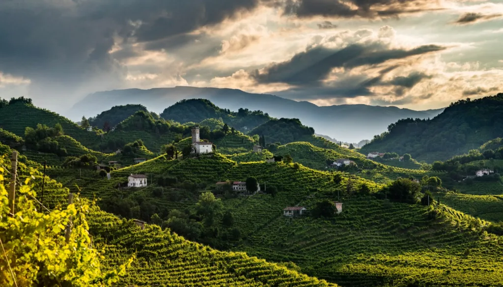 Prosecco Hills - Veneto - Italy