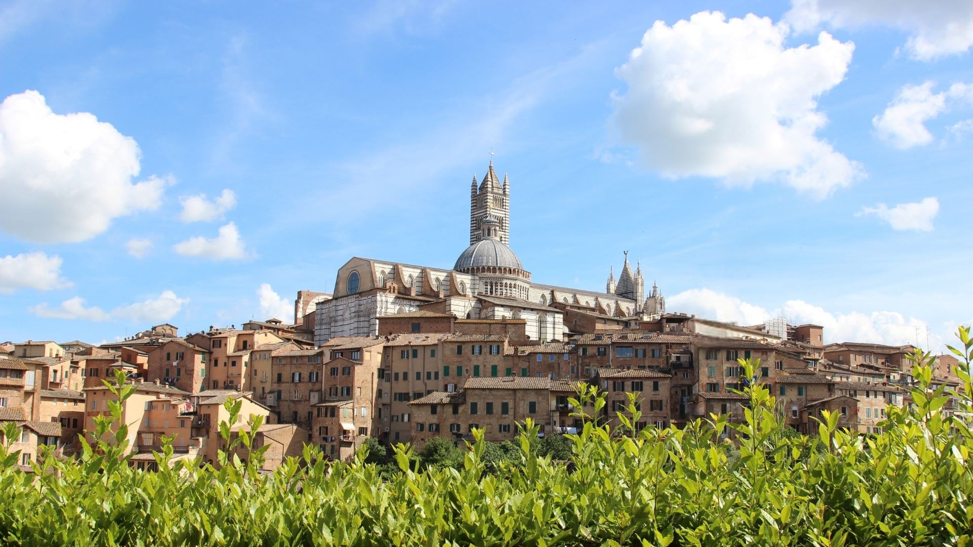 Siena - Tuscany - Italy 1