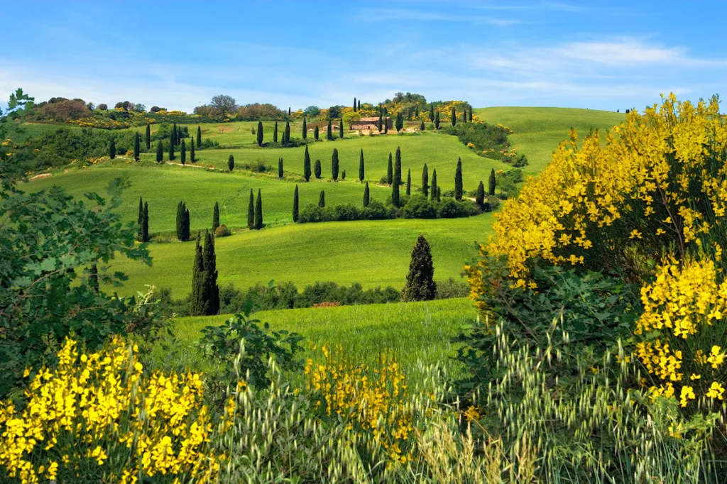 Discover Val di Chiana: Tuscany’s Scenic and Historic Valley