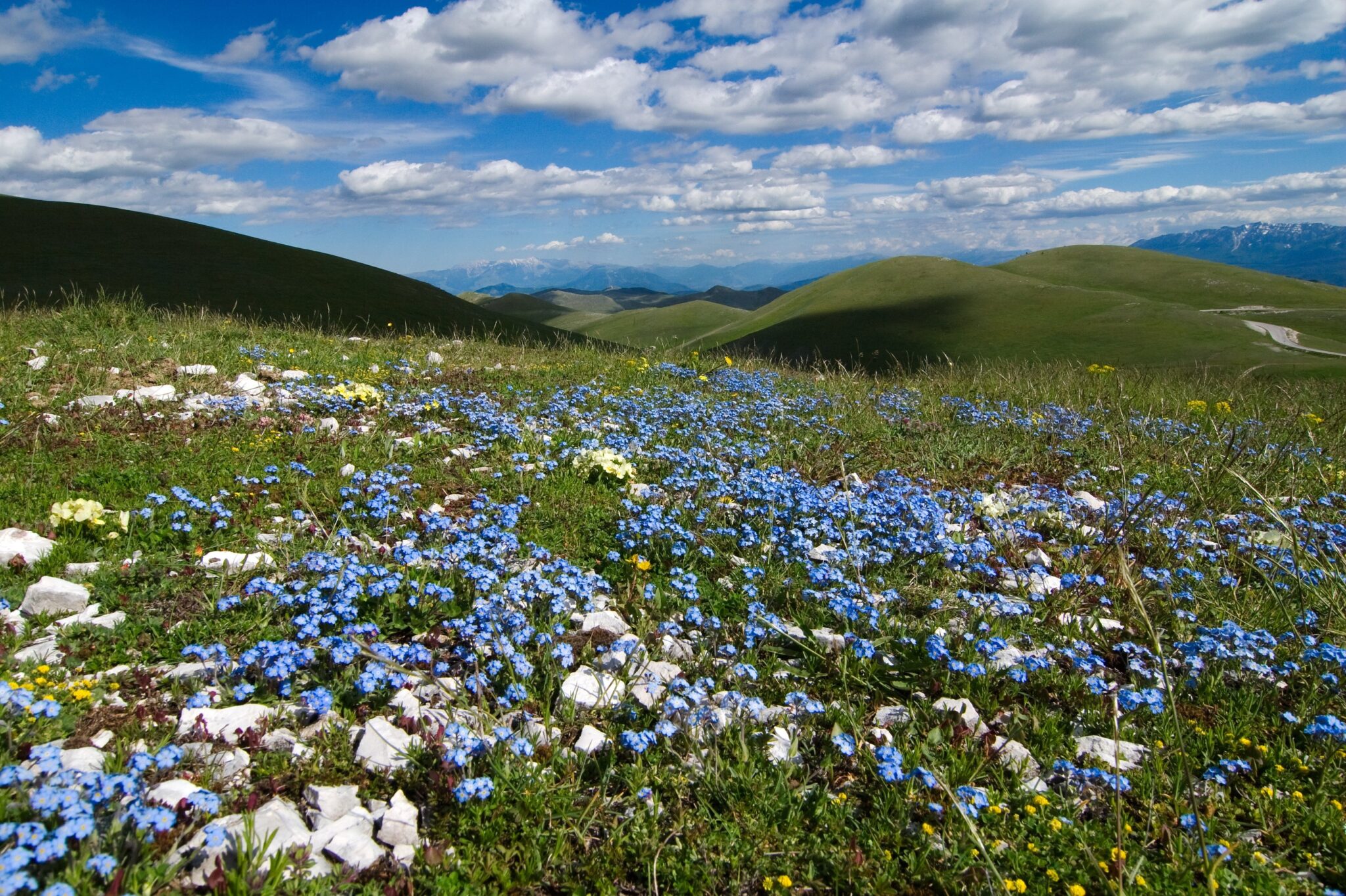 Abruzzo in Spring 1