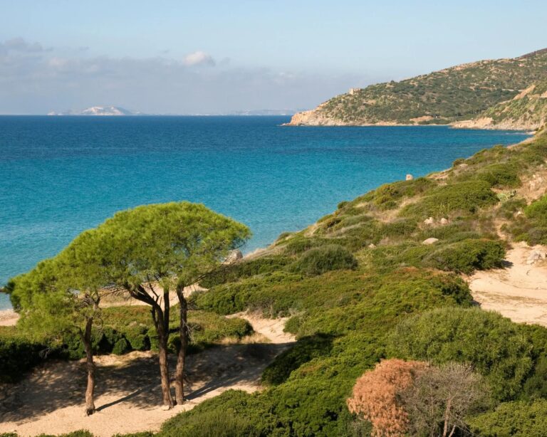 Sardinia in Spring