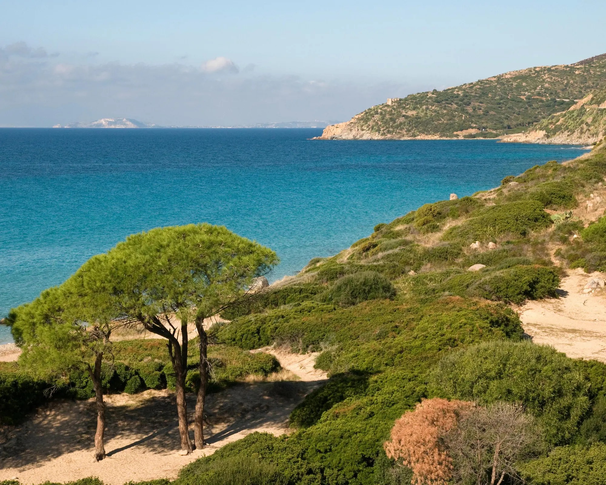 Sardinia in Spring
