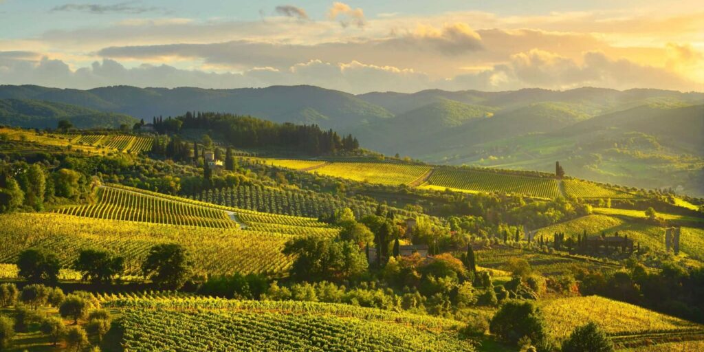 Chianti region - Tuscany - Italy
