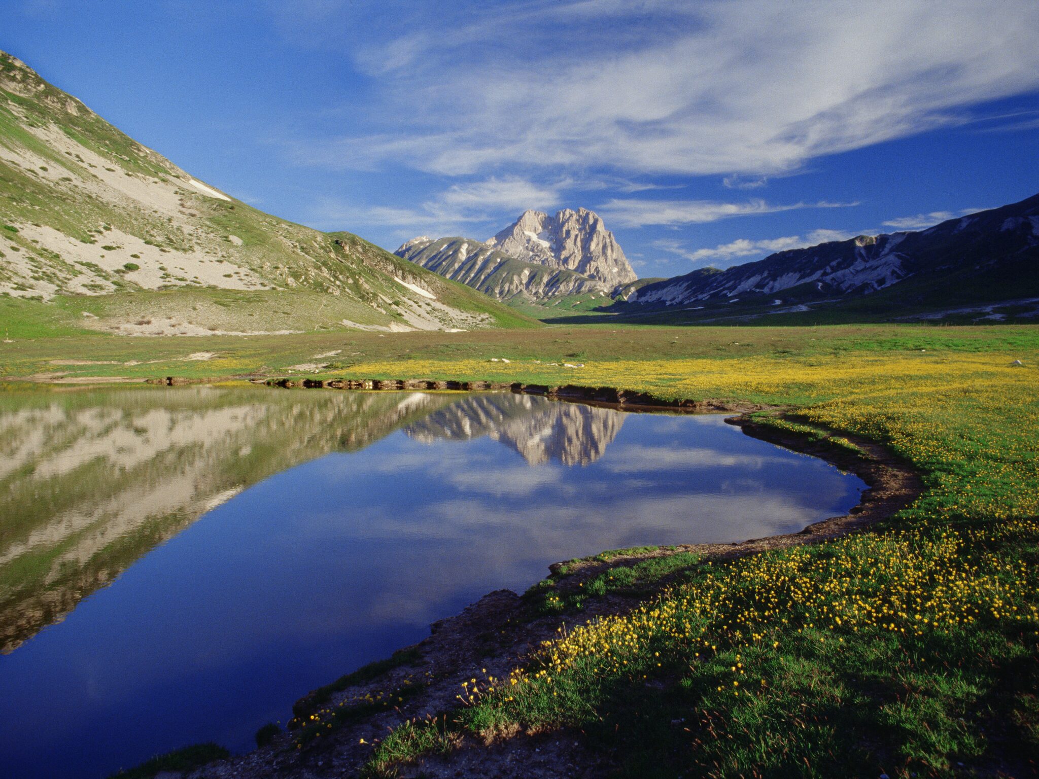 Alpine landscape with a calm lake reflecting rugged snow-dusted mountains and a foreground of yellow wildflowers under a bright blue sky.